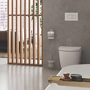 Budget ✨ Franke Medius Toilet Brush Holder Chrome ???? 4 Budget ✨ Franke Medius Toilet Brush Holder Chrome ???? - Image 2